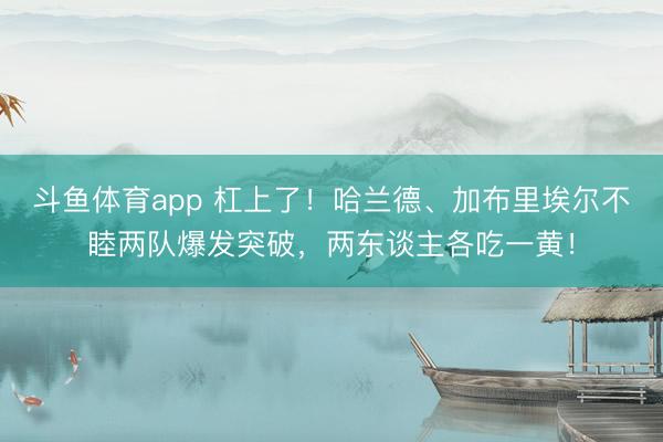 斗鱼体育app 杠上了！哈兰德、加布里埃尔不睦两队爆发突破，两东谈主各吃一黄！