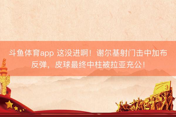 斗鱼体育app 这没进啊！谢尔基射门击中加布反弹，皮球最终中柱被拉亚充公！