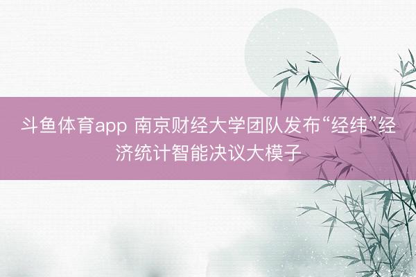 斗鱼体育app 南京财经大学团队发布“经纬”经济统计智能决议大模子